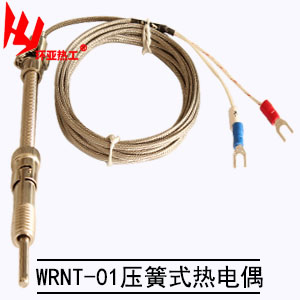  WRNT-01压簧式高精密热电偶